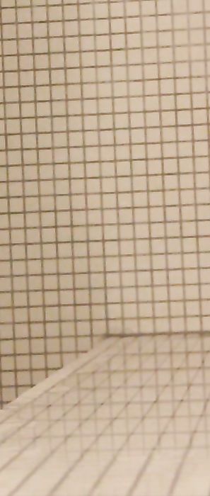 Brooke Marks Shower Head Nude Zipset