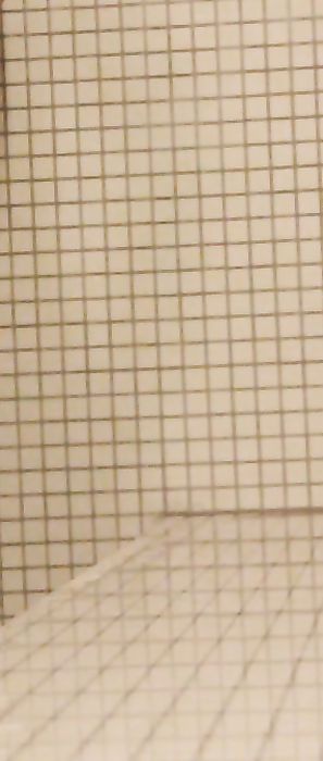 Brooke Marks Shower Head Nude Zipset