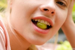 Bianca Bell Has A Picnic Zishy