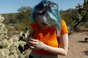 Vonnie Bean Desert Oranges Part Two Zishy