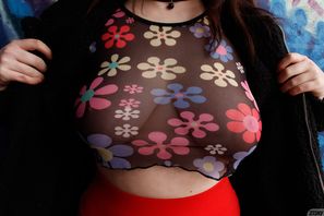 Daisy Wensday Like Melty Snow Zishy