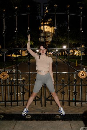 Emberlynn Schmidt Midnight Ginger Zishy