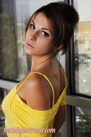 Bashful Brittany
