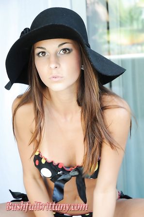 Bashful Brittany