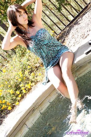 Andi Land
