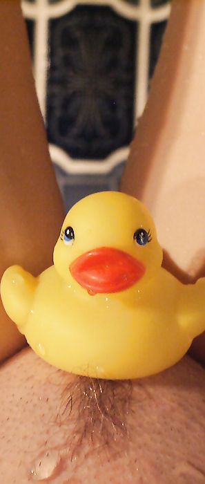 Sexy Pattycake Wet Wild Ducks