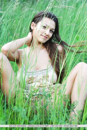 Sofi A met-art