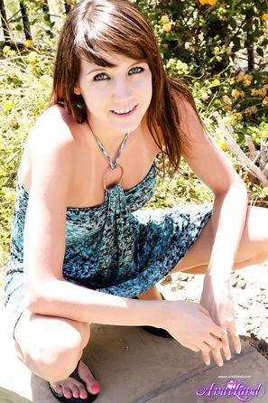 Andi Land