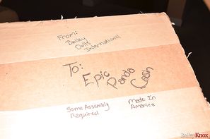 Bailey Knox Special Delivery